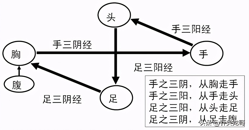 “头痛医脚，脚痛医头”是庸医？NO！针灸治疗能这样的才是良医