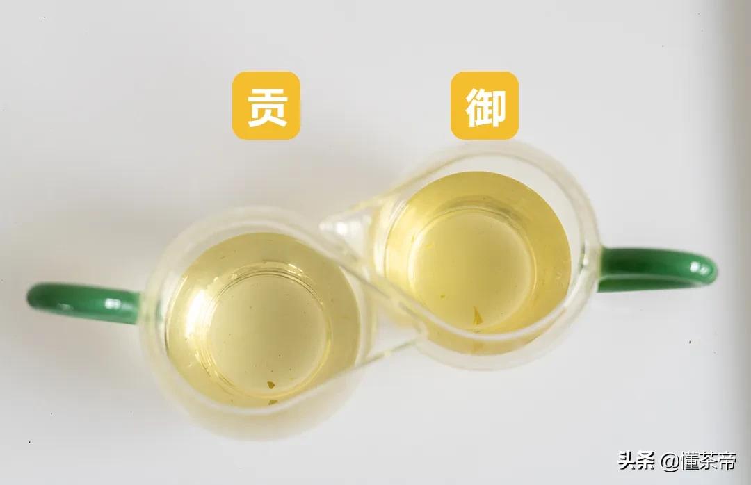 龙井春茶测评,龙井测评排行