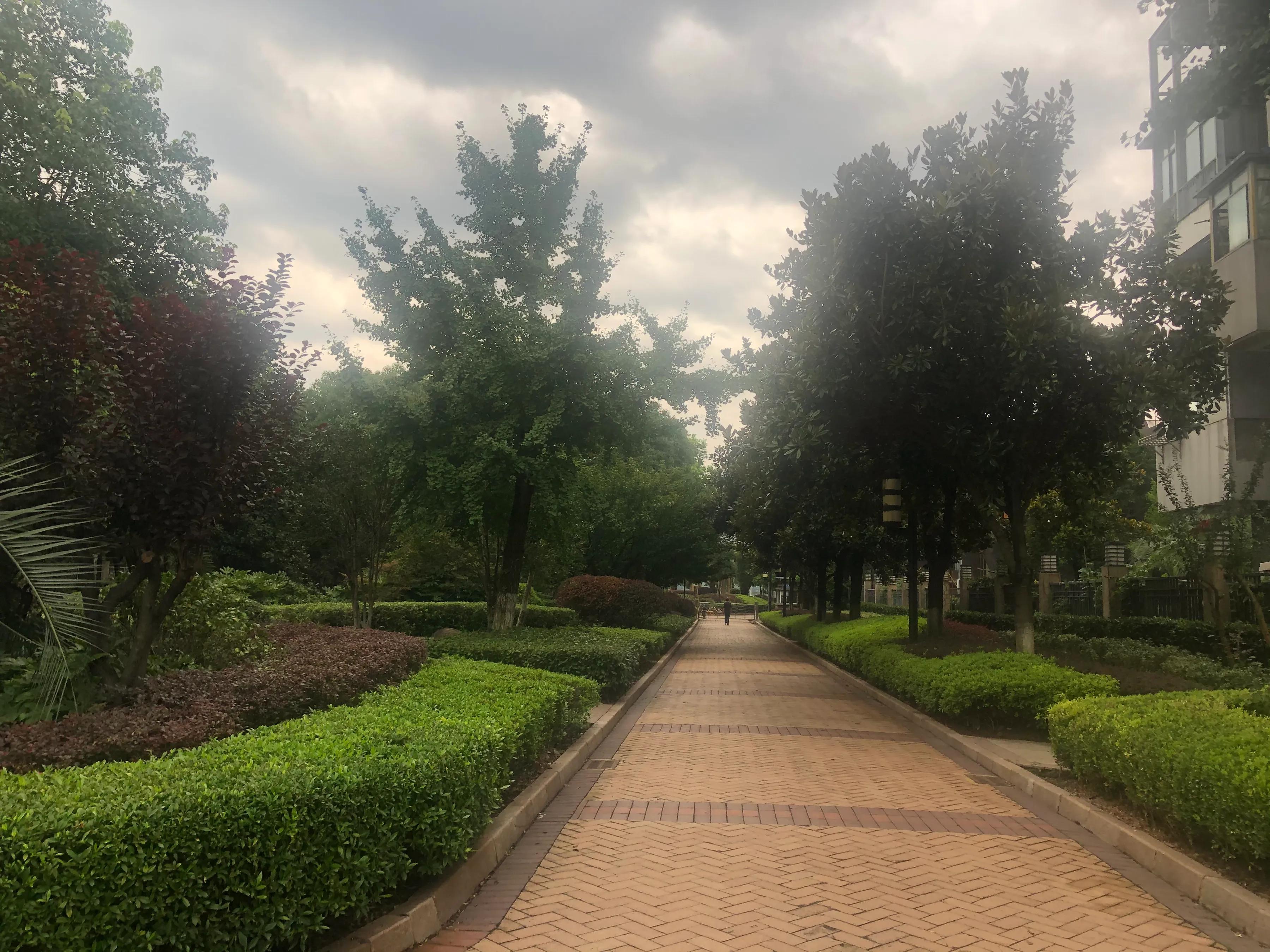 虚荣加冲动买房的后果,虚荣攀比的后果