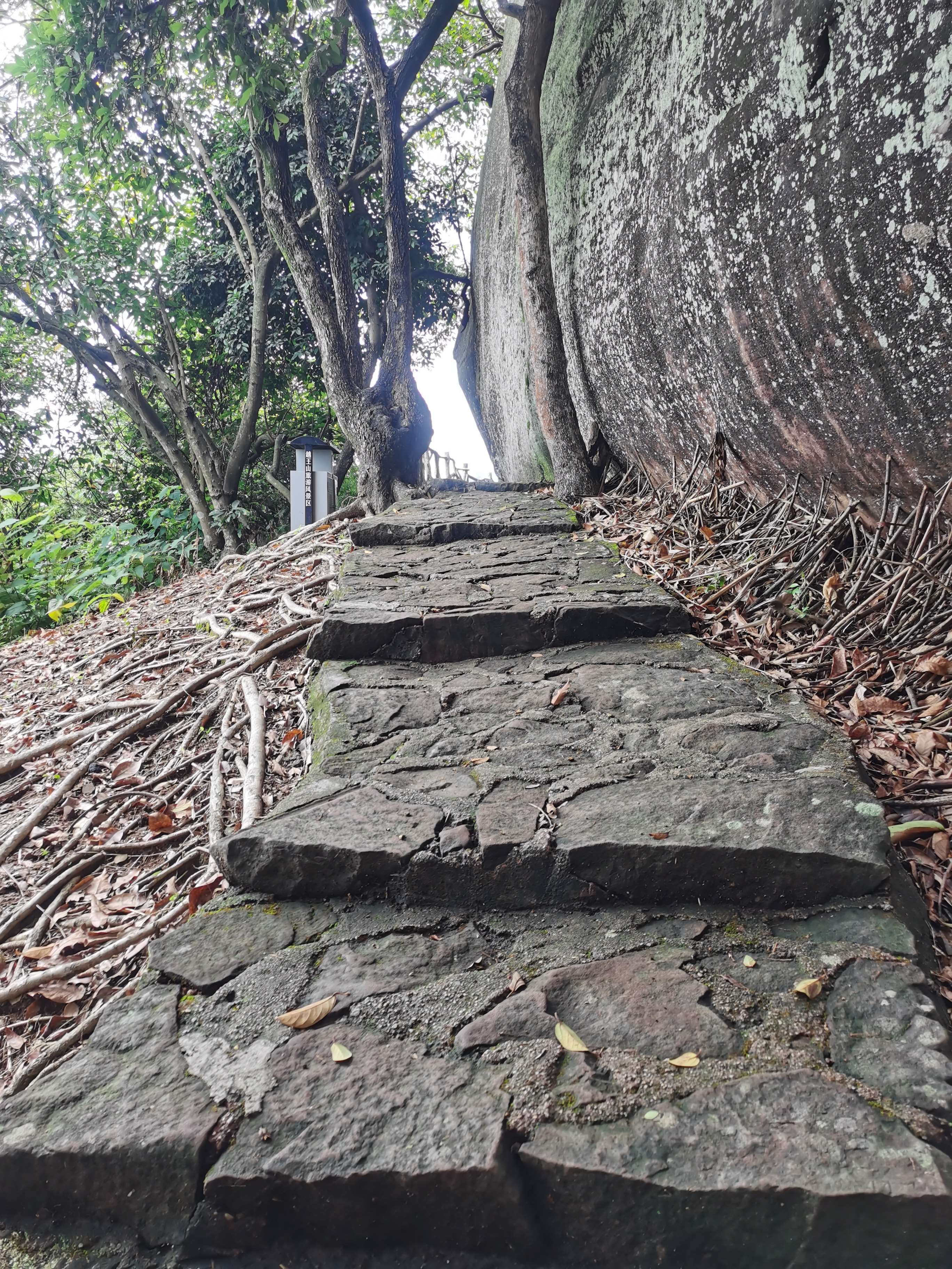 叮当猫还玩81式吗,叮当猫还玩率土之滨吗