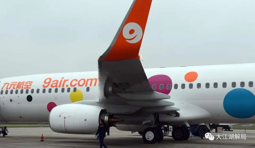 温州胆大包天第一人,胆大包天董事长