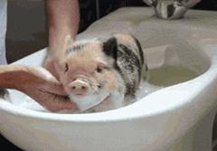 鸡皮肤女孩的自救法则,学生党怎么去除鸡皮肤最有效