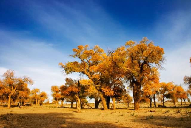 想等一个人一辈子的句子,2019最后一天希望你能陪我一起过