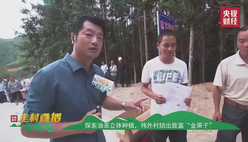 贵州省黔西南州电视台直播,黔西南册亨县弼佑油茶产业