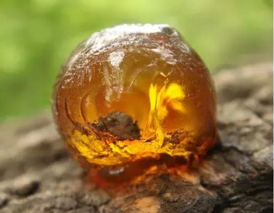 成人梦游最佳调理方法,梦游怎么调理