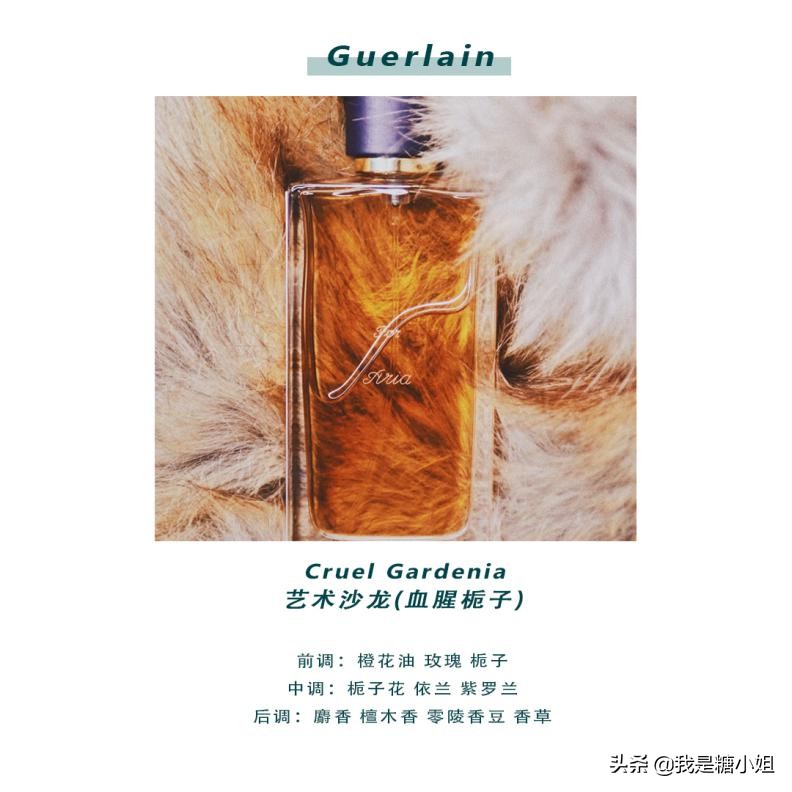gucci绮梦栀子花香水bloom30ml,zaragardenia栀子花香水2018