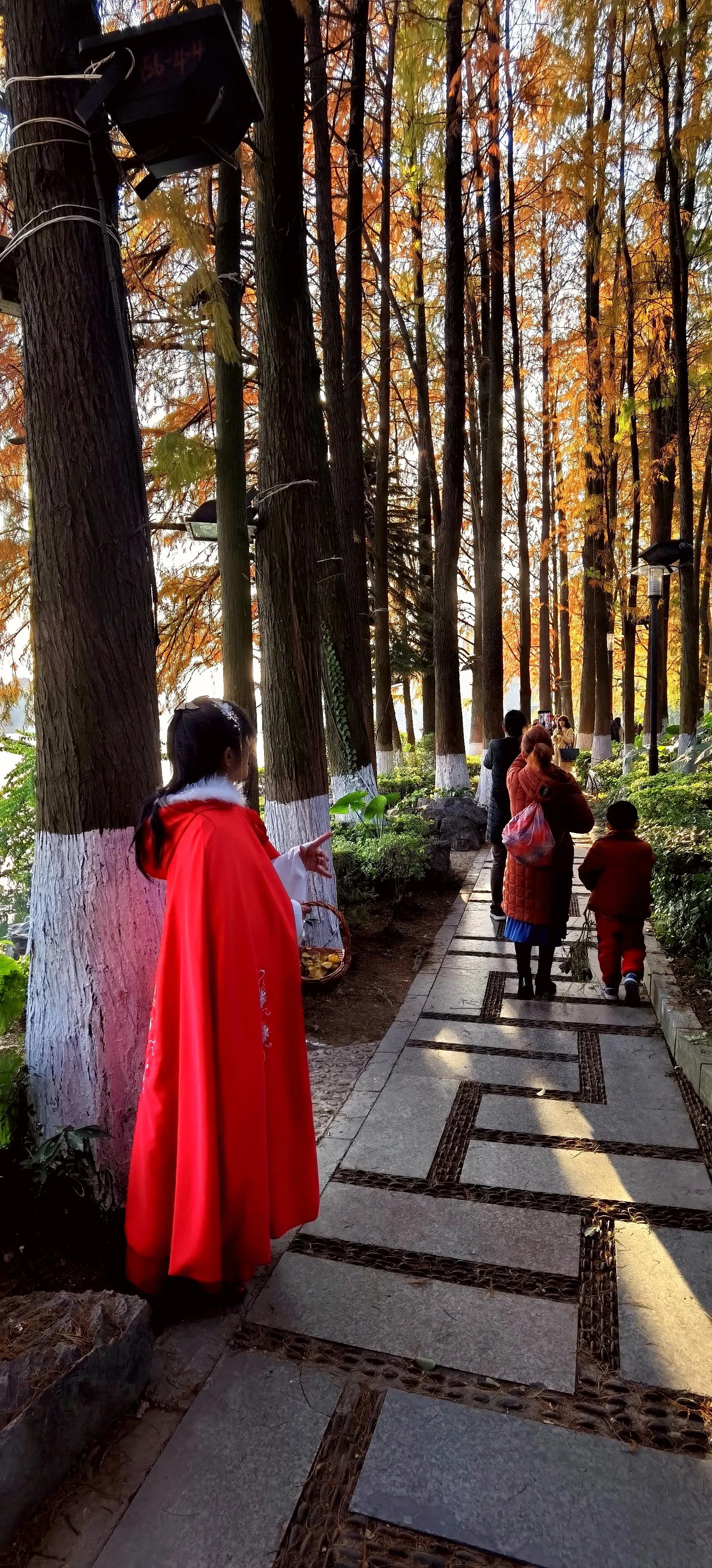 桂林：冬季到桂湖来看景