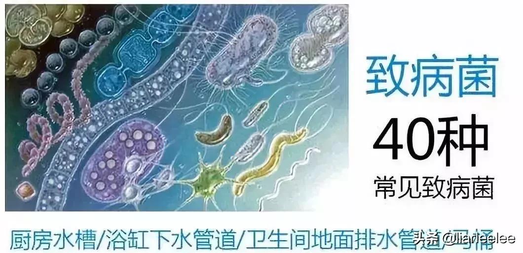 下水道疏通粉末怎么使用,家里下水道堵了怎么疏通塑料管