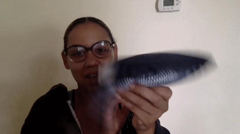 海外买家再一次把中国卖家刷单送上头条,亚马逊:看到就是关店