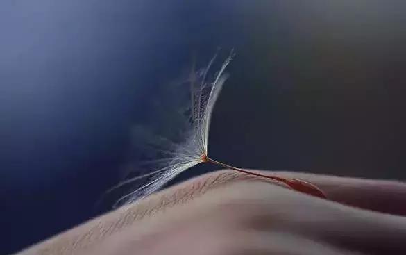 你的微信名暴露你的阶级,你的微信昵称暴露了你的社会阶层