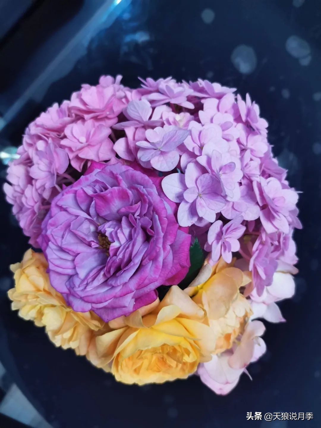 圆滚滚的绣球，瀑布般的花墙，这届花友也太会种花了吧