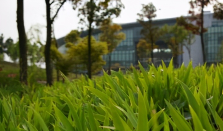 我国这3所师范类大学，虽不在省会城市，却有公认的好口碑