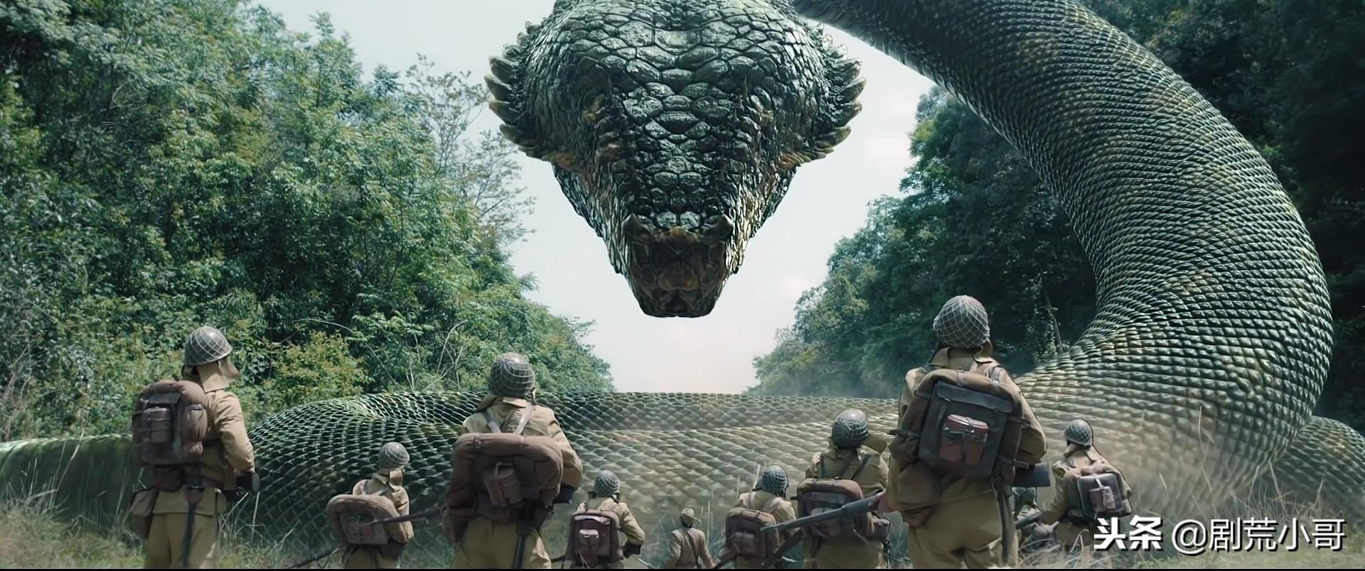 国产狂蟒之灾一口气看完,国产狂蟒之灾好看不