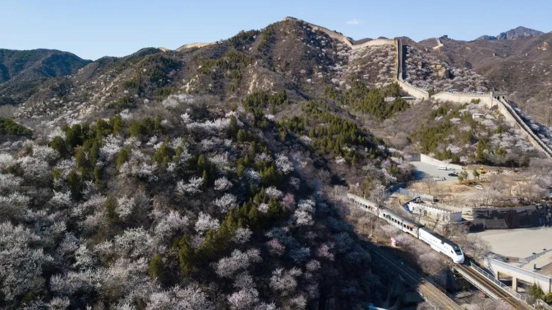 出行安全宝典,北京旅游安全攻略