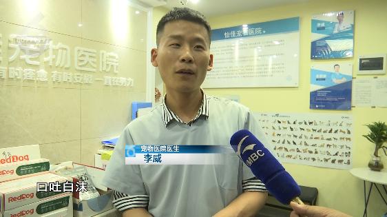 太痛苦了！满地打滚痛苦挣扎口吐白沫后宠物犬死亡昆明一小区接连发生遛狗后狗狗中毒死亡事件