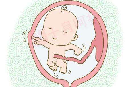 怀孕中期贫血注意事项,怀孕中期要注意什么防止流产