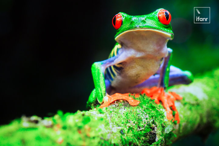 小米85寸电视体验,现场体验了一下小米透明电视