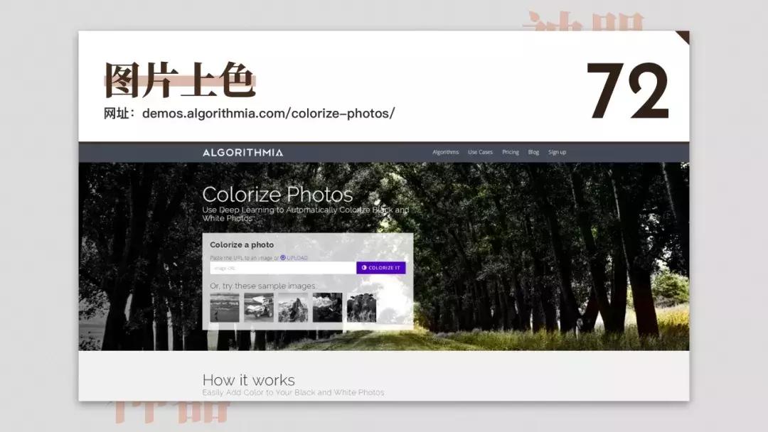 免费设计网站神器,免费设计神器测评网站