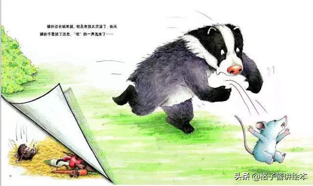 绘本獾的美餐思维导图,獾的美餐绘本故事图片