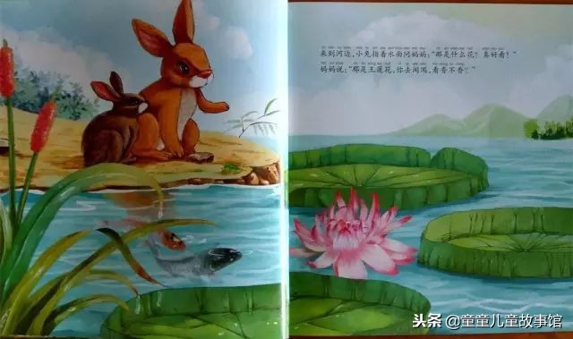 花儿的媒人绘本故事,儿童绘本故事春天的故事