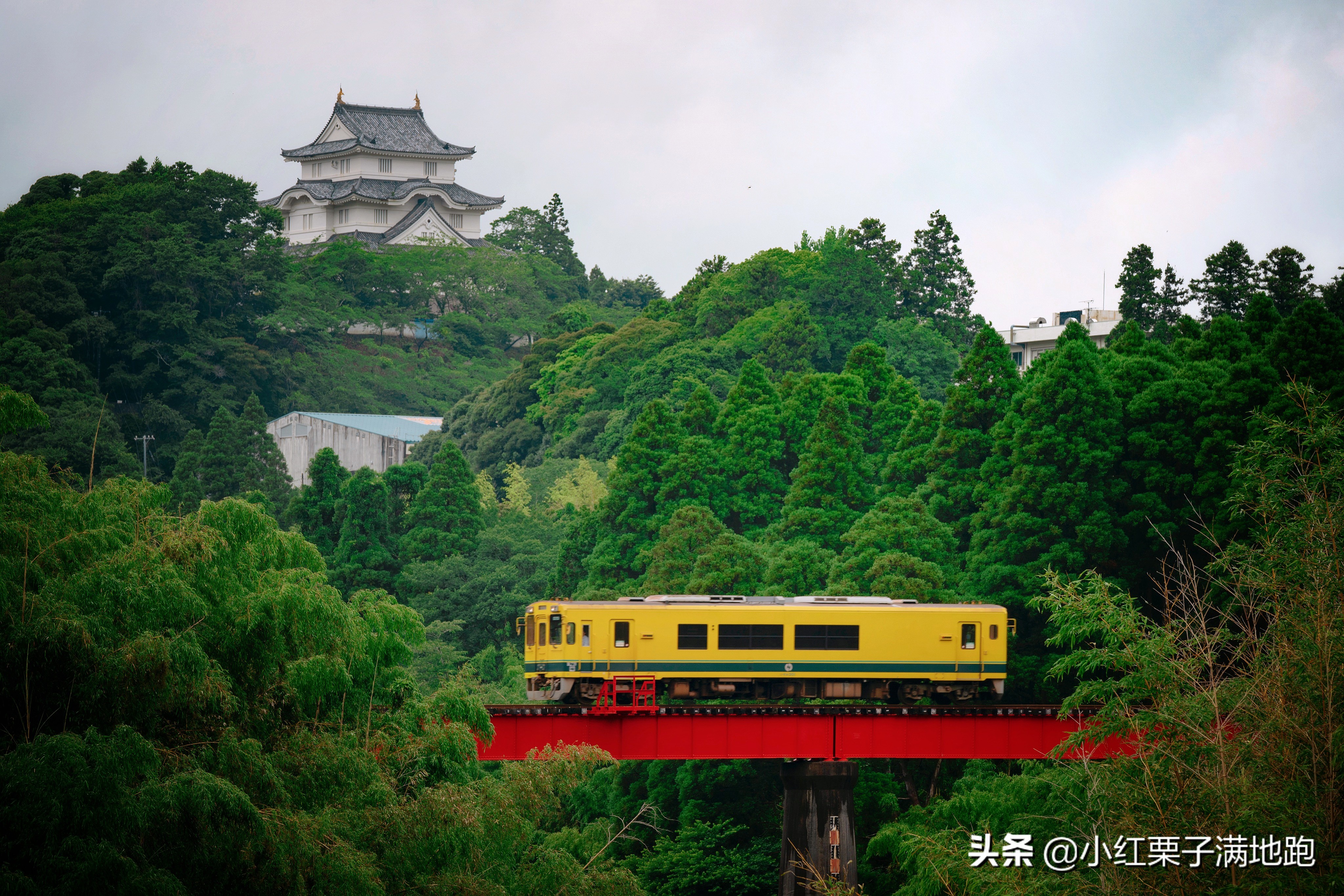 千叶县紫阳花开，如何一边体验火车之旅一边拍摄铁道风景？