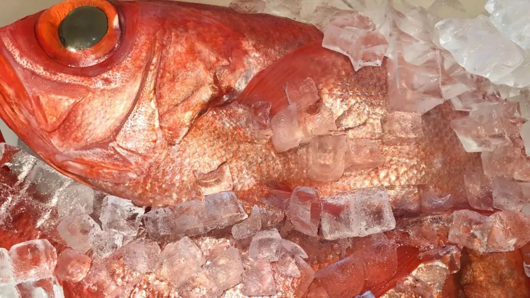 厦门日料自助米其林,厦门米其林怎么吃