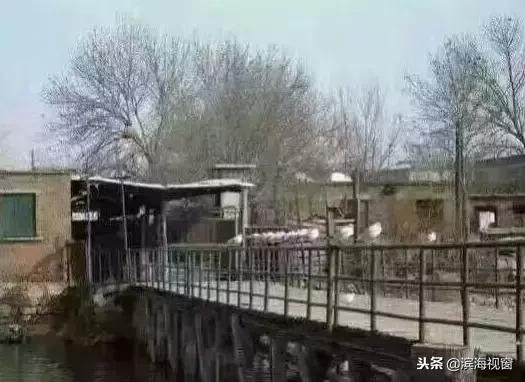 于家堡2024年,于家堡路线