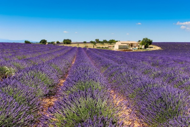 法国巴黎旅游普罗旺斯,法国旅行普罗旺斯