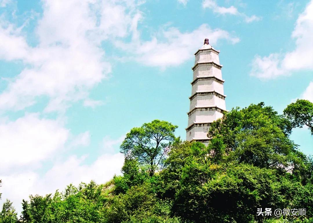 你好！我叫安顺，这是我2021最新简历