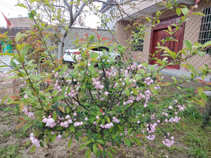 码头装卸招工是不是很辛苦,附近码头装卸工