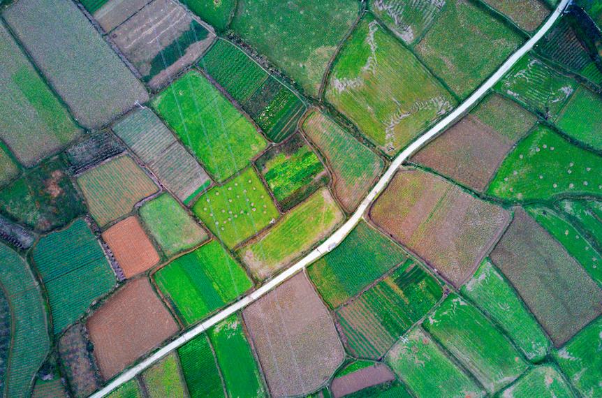 全国各省评选出的重点道地中药材,中药道地药材和产地药材