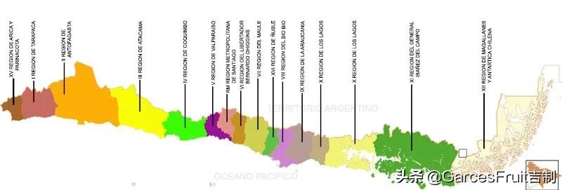 智利车厘子10大品牌,智利车厘子介绍视频