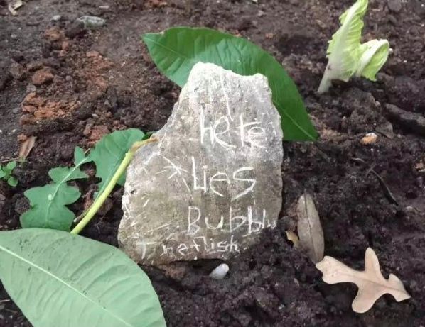 “妈妈,你什么时候死啊?”准备了很久的死亡教育,结...