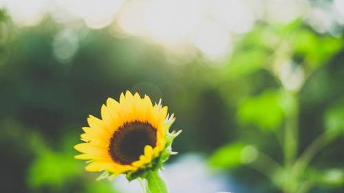 心态崩了该怎么调整,贷款心态崩了怎么调整心态