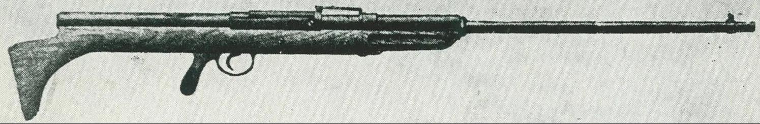 世界第一支全自动步枪,全世界最先进最受欢迎的自动步枪