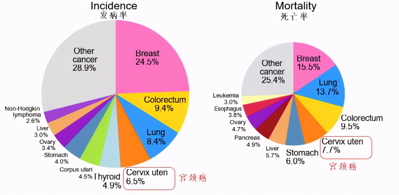 当你出现这些症状，可能是宫颈癌来敲门