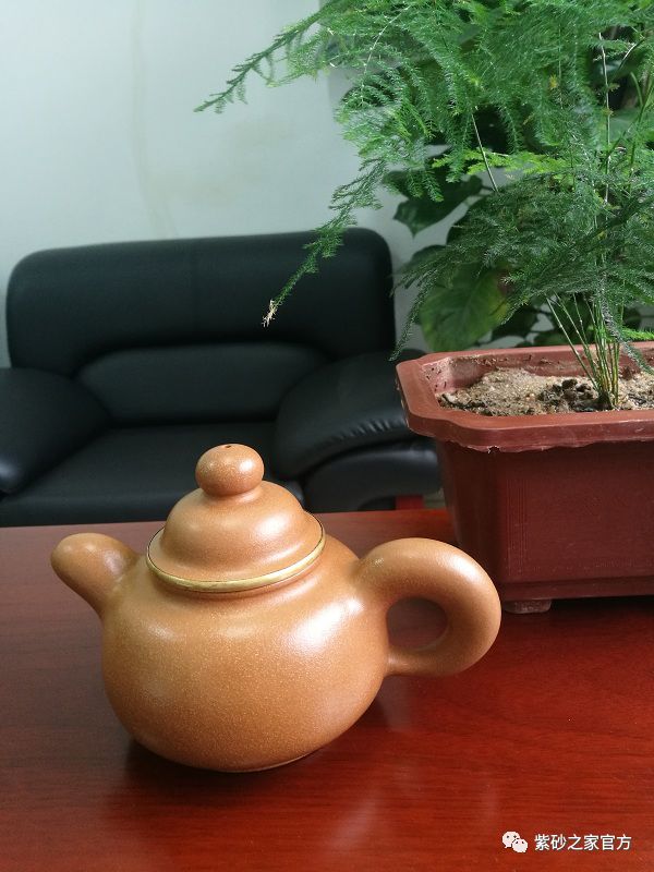 如何养壶最好的方法,壶要怎么养