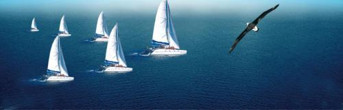 做seo怎么快速挣钱,利用seo卖什么可以赚钱