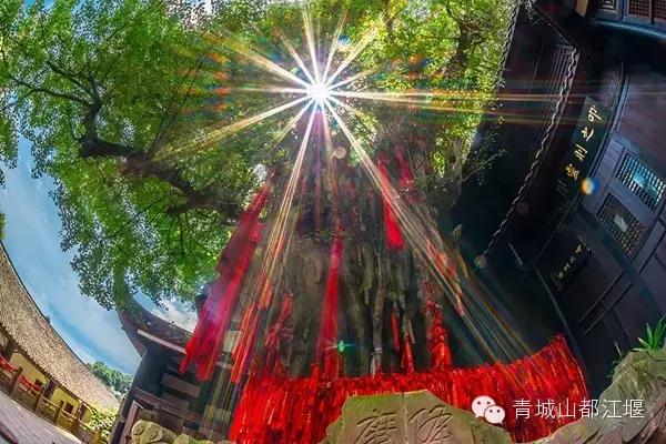 哪些电视剧在都江堰有取景,都江堰取景拍摄电视剧