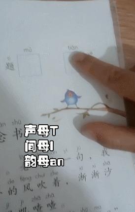 怎么引导4岁宝宝认识拼音,怎么样让4岁孩子快速了解拼音