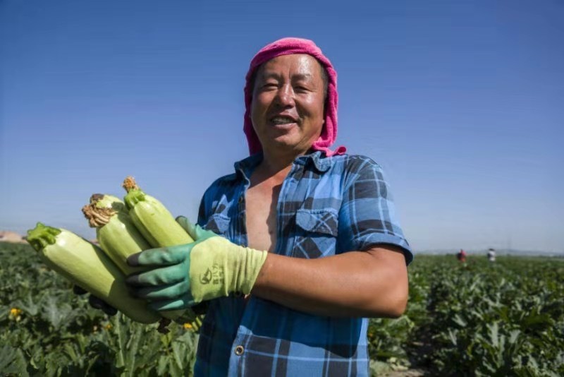 沽源县农村电商,沽源县电商物流生态产业基地项目