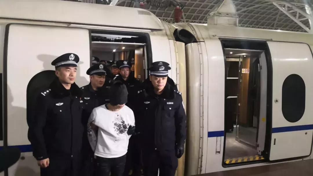 青岛押解女诈骗犯,青岛警方抓捕电信诈骗案