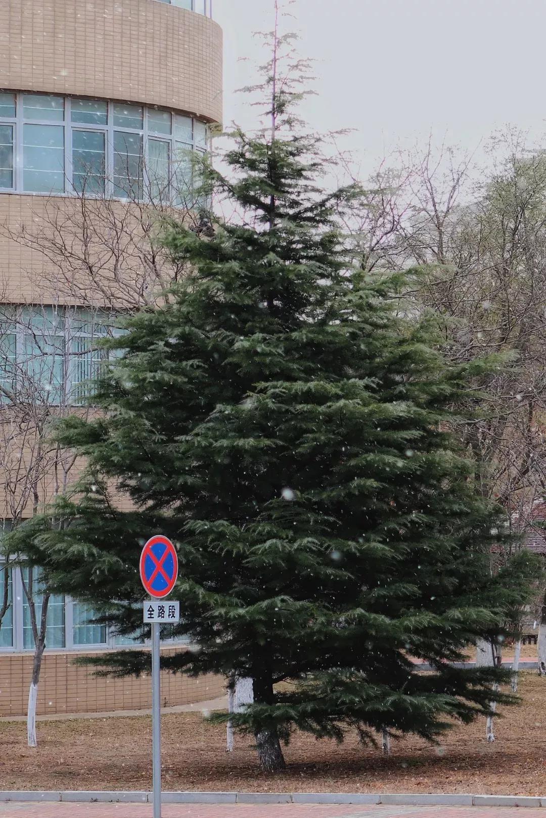 辽宁省高校(三十二)大连外国语大学
