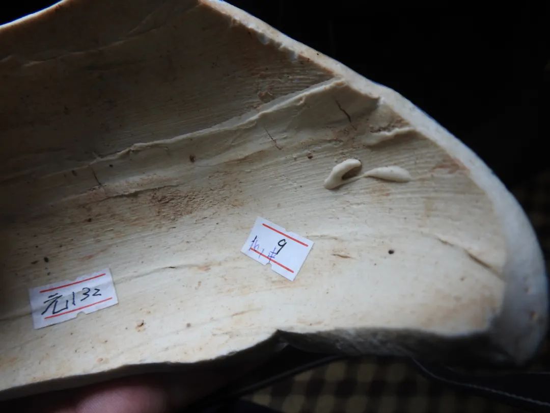 鍏冮潚鑺卞寽鐪熷搧鐗瑰緛,姘戠獞鍏冮潚鑺辩鐗瑰緛