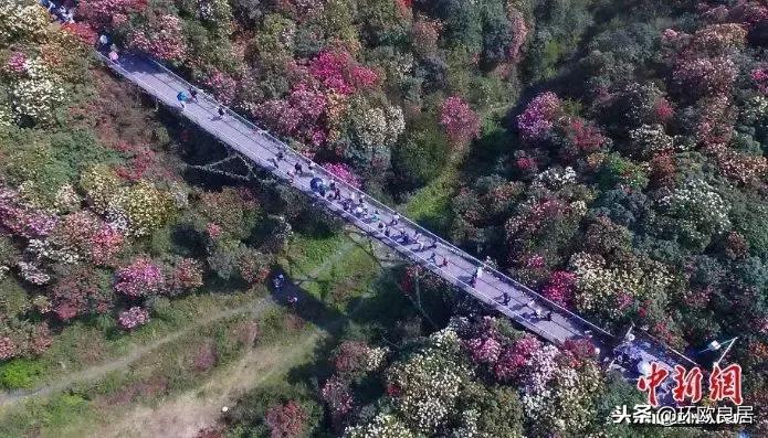 12月新规对自己有什么影响,12月起这些新规将影响你的生活