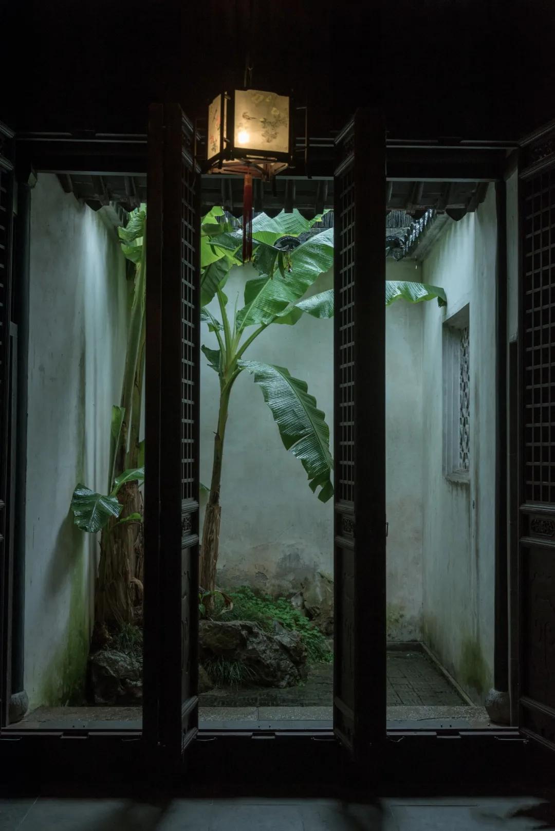 隔窗听夜雨先闻芭蕉声,隔窗知夜雨芭蕉先有声