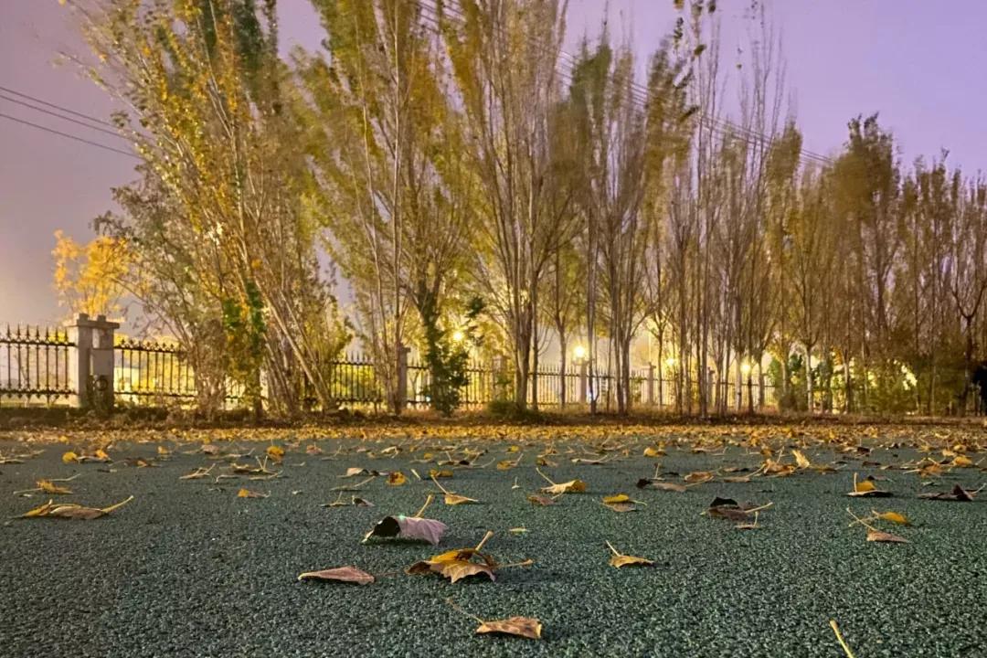 营口理工学院咋样,辽宁省公办高校营口理工学院