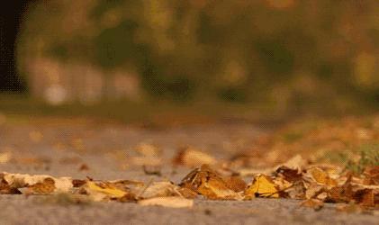 紧急!10大秋冬受到万千受宠的唇膏,你入了哪款?|科学种草