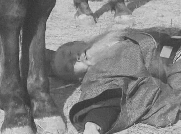 诸葛亮骂人厚颜无耻那段短视频,厚颜无耻之人算骂人吗