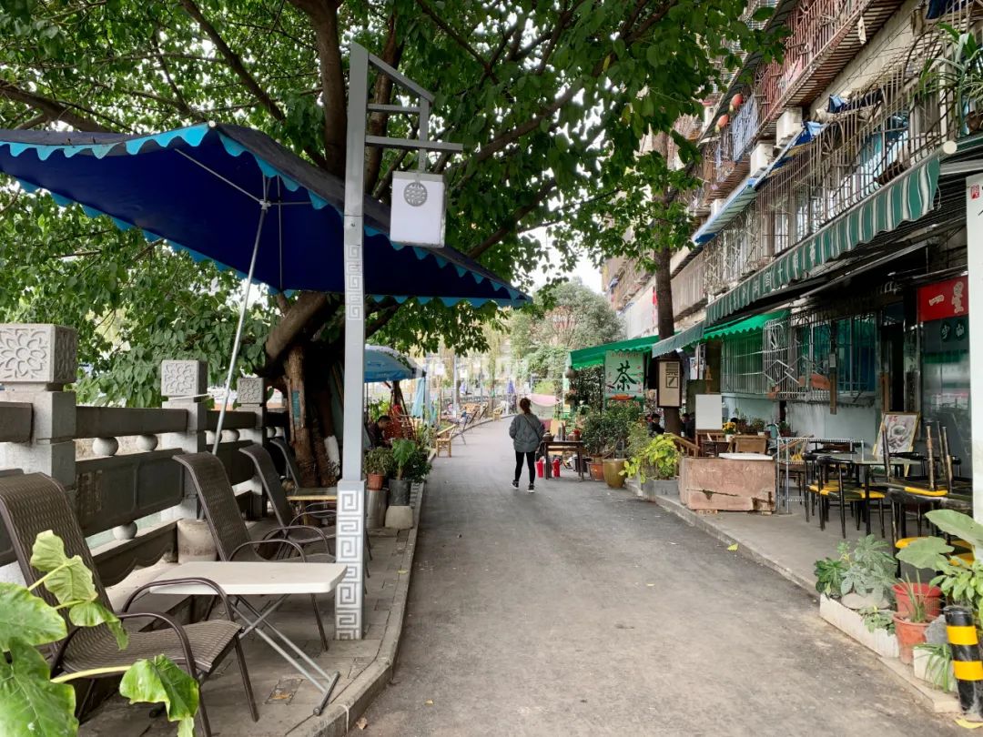 成都绿道风景美如画,成都周边哪条河边绿道最美